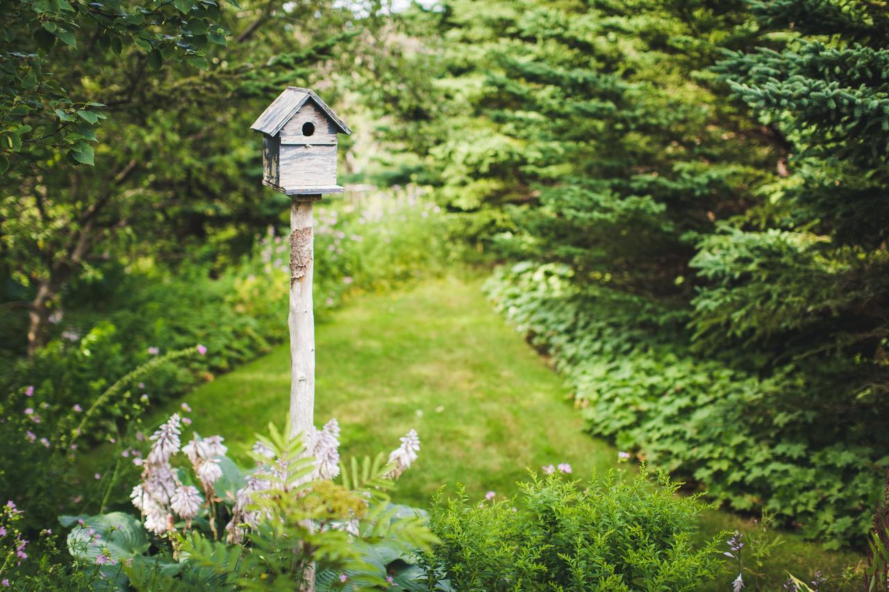 Abbie'S Garden Bed & Breakfast Grand Bank エクステリア 写真
