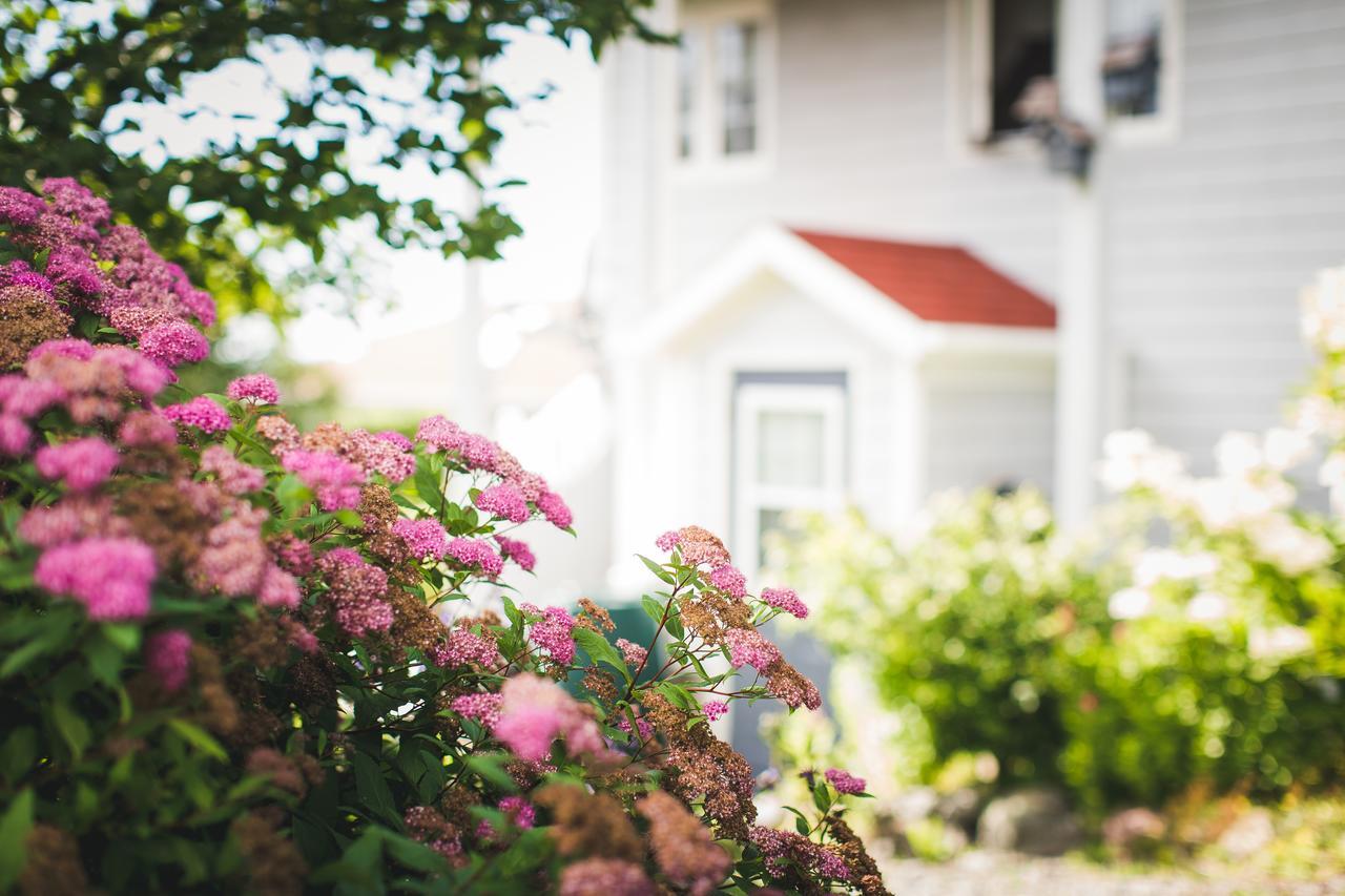 Abbie'S Garden Bed & Breakfast Grand Bank エクステリア 写真