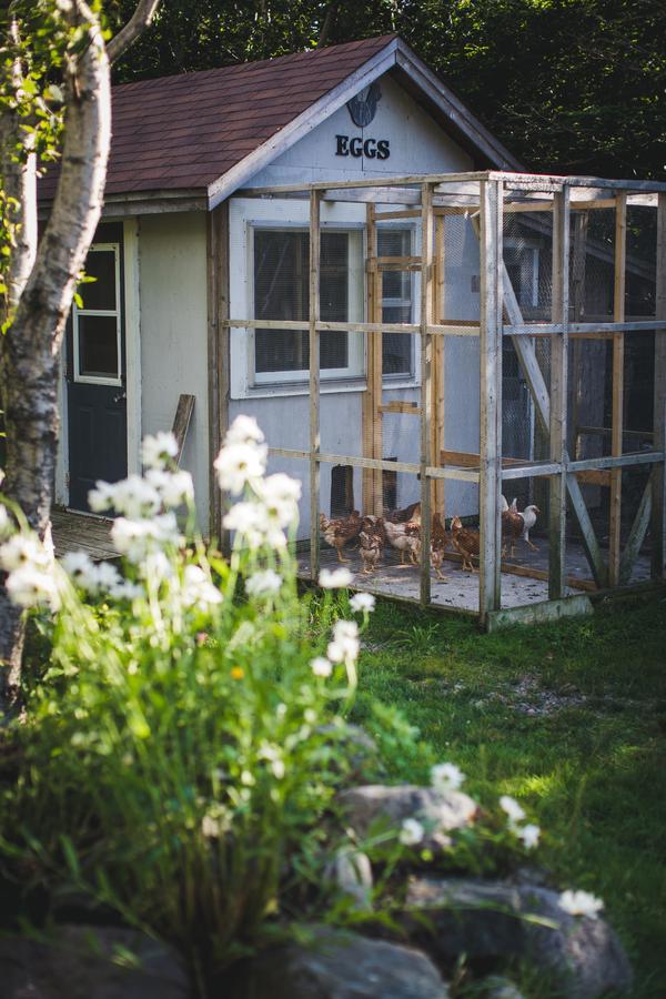 Abbie'S Garden Bed & Breakfast Grand Bank エクステリア 写真
